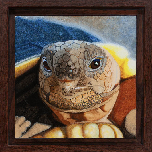 Desert Tortoise Hatchling Study - 6"x6" Acrylic