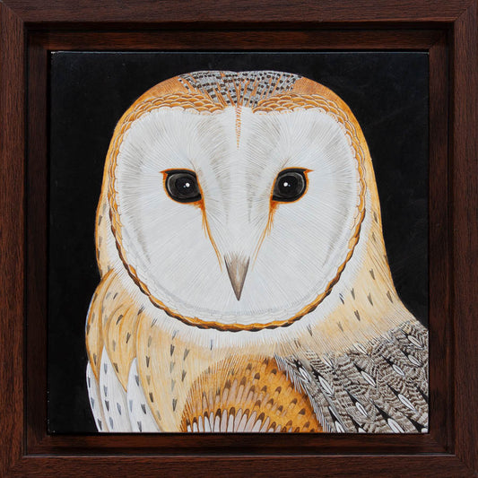 Barn Owl Study - 6"x6" Acrylic