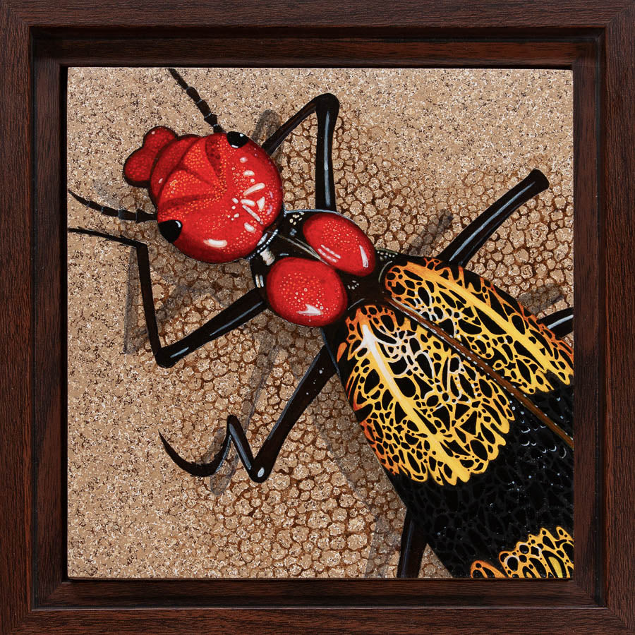 Iron Cross Blister Beetle Study - 6"x6" Acrylic