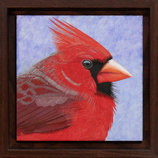 Northern Cardinal Study - 6"x6" Acrylic