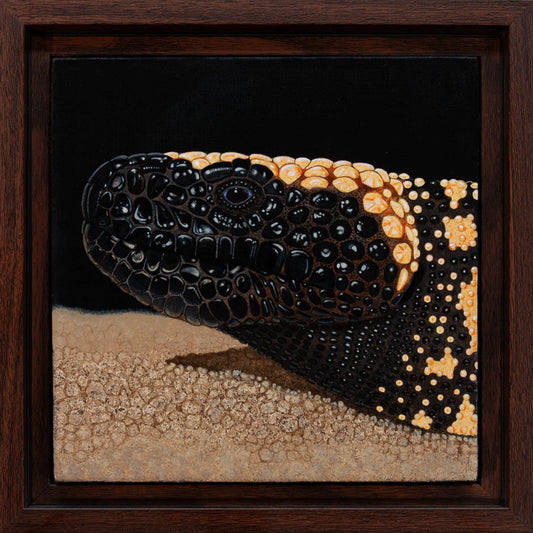 Gila Monster Study - 6"x6" Acrylic