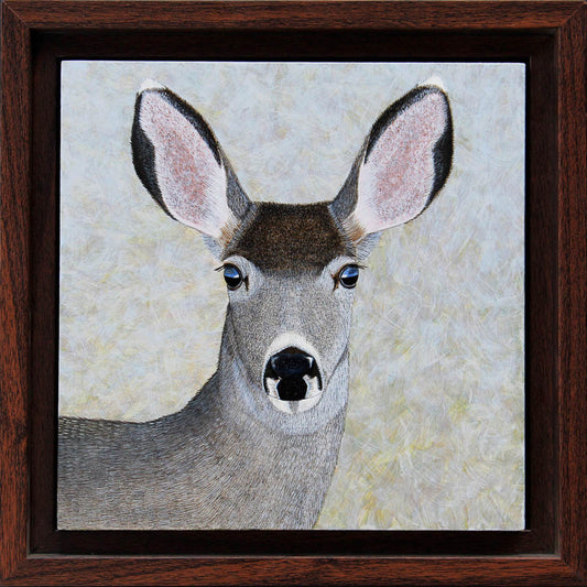 Female Mule Deer Study - 6"x6" Acrylic