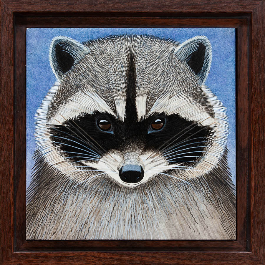 Raccoon Study - 6"x6" Acrylic