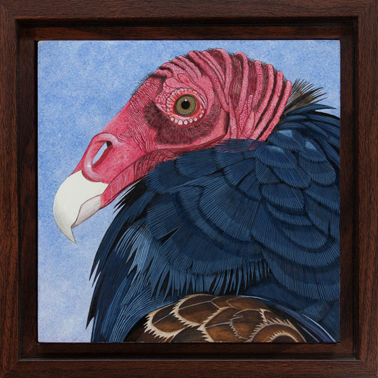 Turkey Vulture Study - 6"x6" Acrylic