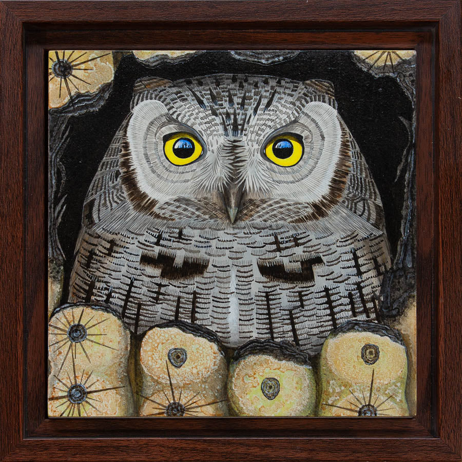 Western Screech Owl Study - 6"x6" Acrylic